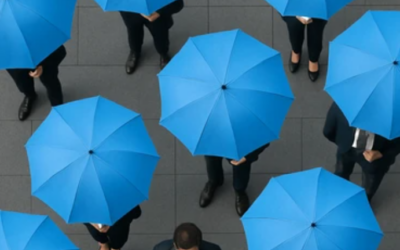 Fondations abritantes : Fonctionnement, Défis et Professionnalisation